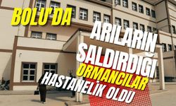 Bolu'da arıların saldırdığı ormancılar hastanelik oldu