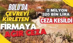 Bolu'da çevreyi kirleten firmaya ağır ceza