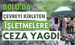 Bolu'da çevreyi kirleten işletmelere ceza yağdı