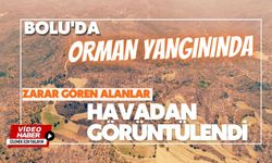 Bolu'da orman yangınında zarar gören alanlar havadan görüntülendi