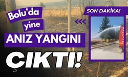 Bolu’da yine anız yangını çıktı