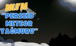 Bolu'da ''Perseid meteor yağmuru''