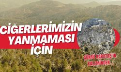 CİĞERLERİMİZİN YANMAMASI İÇİN