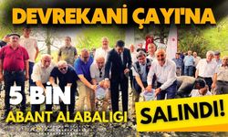 Devrekani Çayı'na 5 bin Abant alabalığı salındı