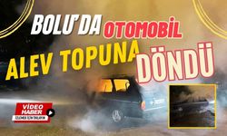 Bolu'da otomobil alev topuna döndü!