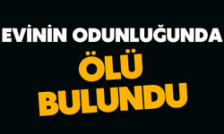 Evinin odunluğunda ölü bulundu