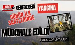 Gerede'deki yangına günün ilk ışıklarında müdahale