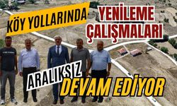 KÖY YOLLARINDA YENİLEME ÇALIŞMALARI ARALIKSIZ DEVAM EDİYOR