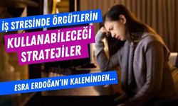 İŞ STRESİNDE ÖRGÜTLERİN KULLANABİLECEĞİ STRATEJİLER