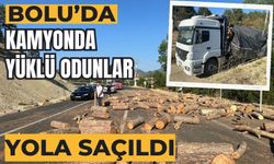 Bolu'da kamyonda yüklü odunlar yola saçıldı