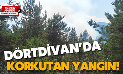 DÖRTDİVAN’DA KORKUTAN YANGIN!