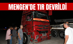 Mengen'de tır devrildi