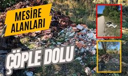 MESİRE ALANLARI ÇÖPLE DOLU