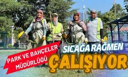 Park ve Bahçeler Müdürlüğü sıcağa rağmen çalışıyor