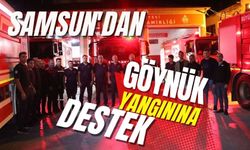 Samsun'dan, Göynük yangınına destek