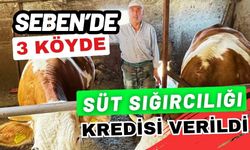 Seben’de 3 köyde süt sığırcılığı kredisi verildi