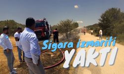 Sigara izmariti yaktı