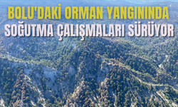 Bolu'daki orman yangınında soğutma çalışmaları sürüyor