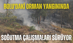 Bolu'daki orman yangınında soğutma çalışmaları sürüyor