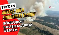 TSK'dan, Ankara-Bolu sınırındaki yangını söndürme çalışmalarına destek