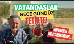 Vatandaşlar gece gündüz tetikte: Korkudan uyuyamıyorlar