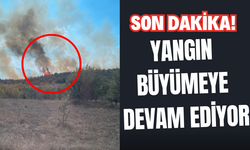 Yangın büyümeye devam ediyor!