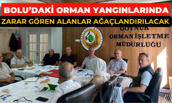 Bolu’daki orman yangınlarında zarar gören alanlar ağaçlandırılacak