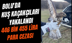 Bolu'da kuş kaçakçıları yakalandı: 446 bin 455 lira para cezası