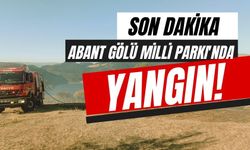 Abant Gölü Milli Parkı’nda yangın