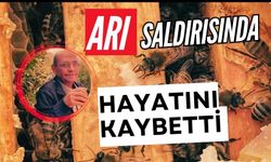 Arı saldırısında hayatını kaybetti