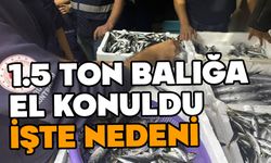 Balıklara el konuldu, işte nedeni