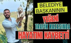 Belediye başkanının yeğeni trafik kazasında hayatını kaybetti