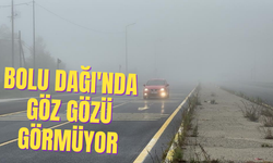 Bolu Dağı'nda göz gözü görmüyor