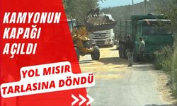 KAMYONUN KAPAĞI AÇILDI YOL MISIR TARLASINA DÖNDÜ