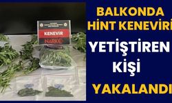 BALKONDA HİNT KENEVİRİ YETİŞTİREN KİŞİ YAKALANDI