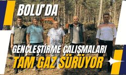 Bolu’da gençleştirme çalışmaları tam gaz sürüyor