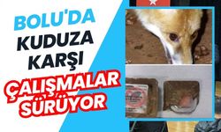 BOLU'DA KUDUZA KARŞI ÇALIŞMALAR SÜRÜYOR