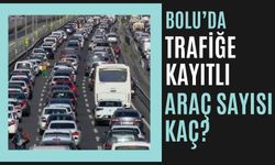 BOLU’DA TRAFİĞE KAYITLI ARAÇ SAYISI KAÇ?