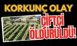 Korkunç olay: Çiftçi öldürüldü