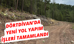 Dörtdivan’da yeni yol yapım işleri tamamlandı