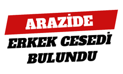 Arazide erkek cesedi bulundu