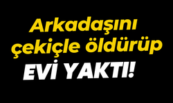 Arkadaşını çekiçle öldürüp evi yaktı!