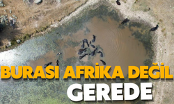 Burası Afrika Değil, Gerede