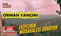 Göynük'te orman yangını, ekiplerin müdahalesi sürüyor