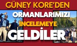 GÜNEY KORE’DEN ORMANLARIMIZI İNCELEMEYE GELDİLER