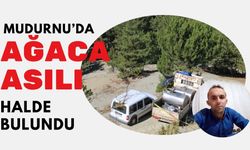 MUDURNU’DA AĞACA ASILI HALDE BULUNDU