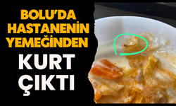 Bolu’da, hastanenin yemeğinden kurt çıktı