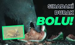 Sıradaki durak Bolu