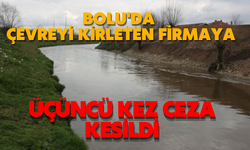 Bolu'da çevreyi kirleten firmaya üçüncü kez ceza kesildi