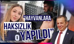 “HAYVANLARA HAKSIZLIK YAPILDI”